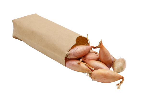 Skalotteløg, skalotte løg, løg, charlotteløg, rødløg, røde løg